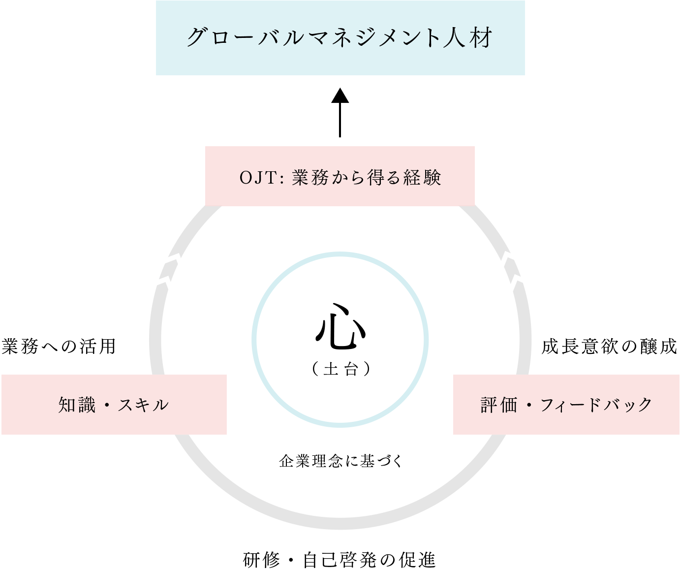 知識・スキル、評価・フィードバック、OJT (業務から得る経験) → グローバルマネジメント人材